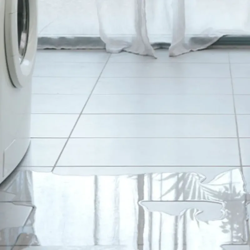 Appliance Leak Cleanup in Flint, MI