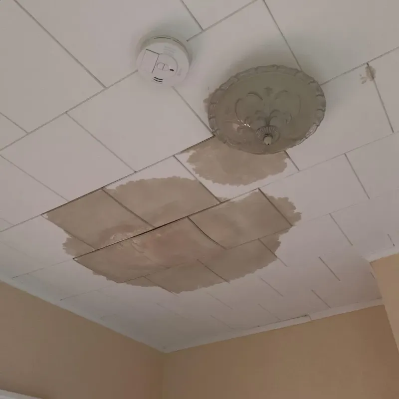 Ceiling Water Damage Repair in Flint, MI