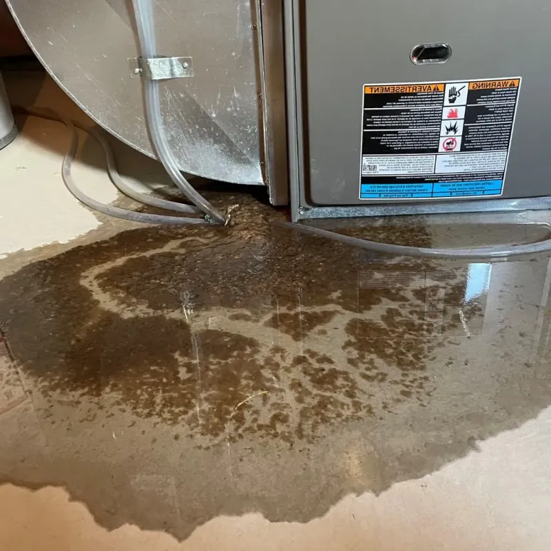 Pipe Burst and Leak Restoration in Flint, MI